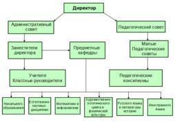 Структура и органы управления образовательной организацией